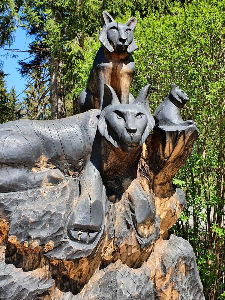 Forest Experience Center Ziegelwies, Füssen