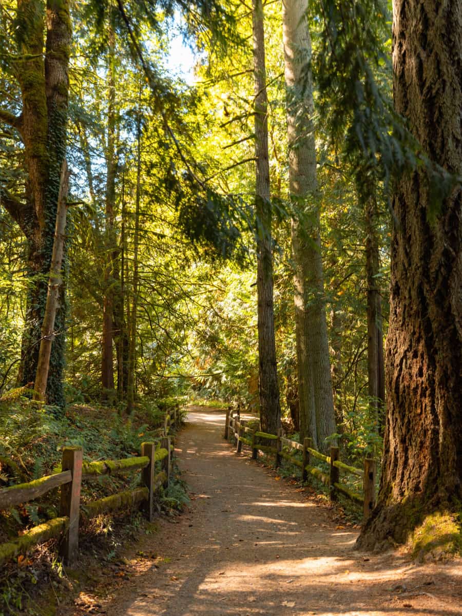 Forest Park, Portland Forest Park, Portland