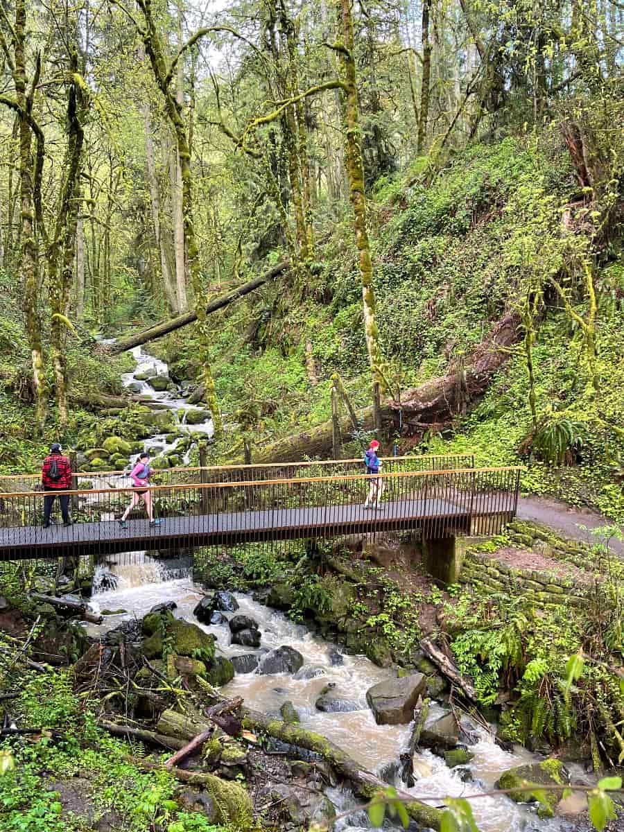 Forest Park, Portland Forest Park, Portland