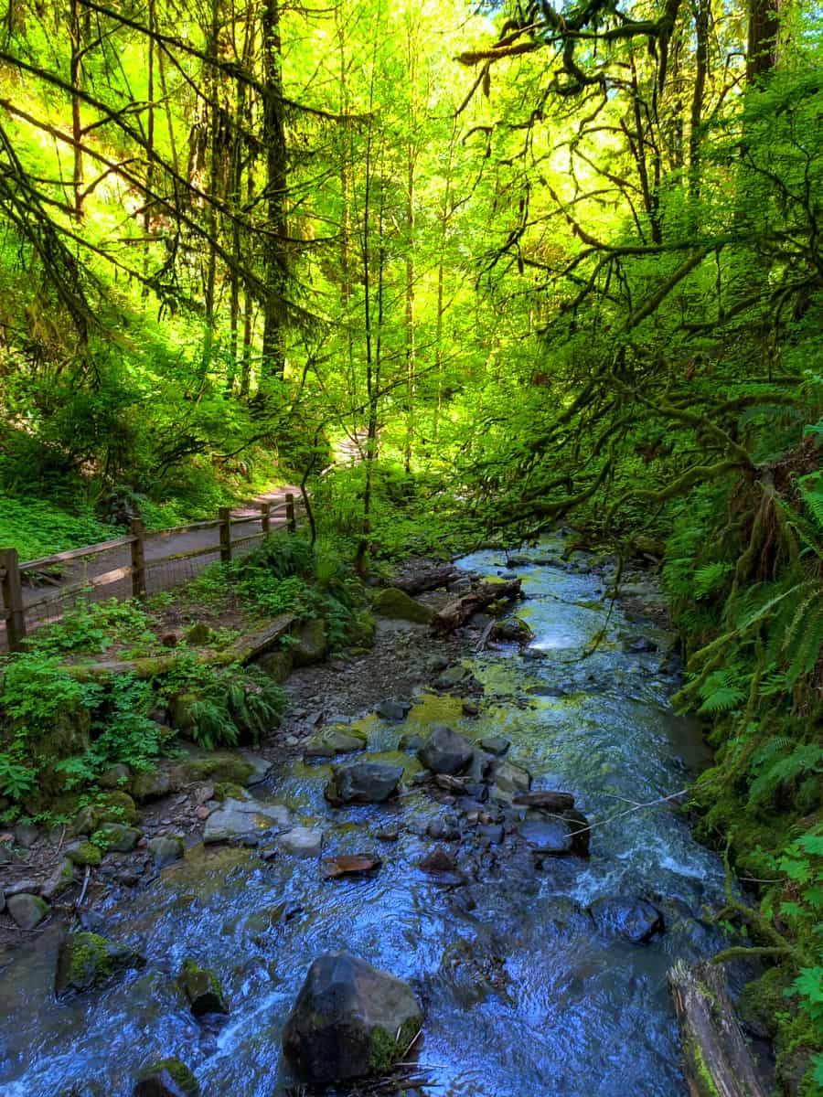 Forest Park, Portland Forest Park, Portland