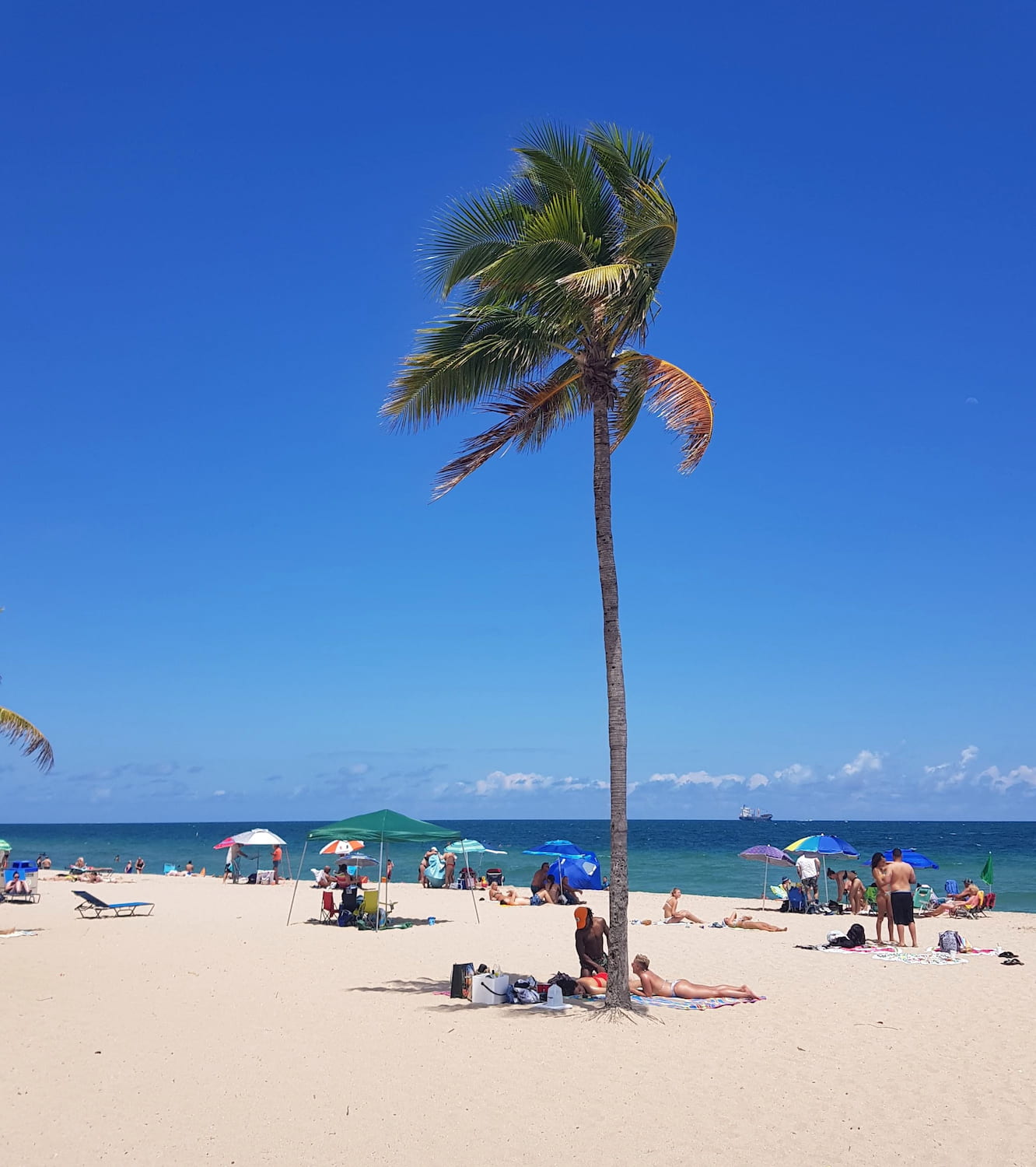 Fort Lauderdale Fort Lauderdale