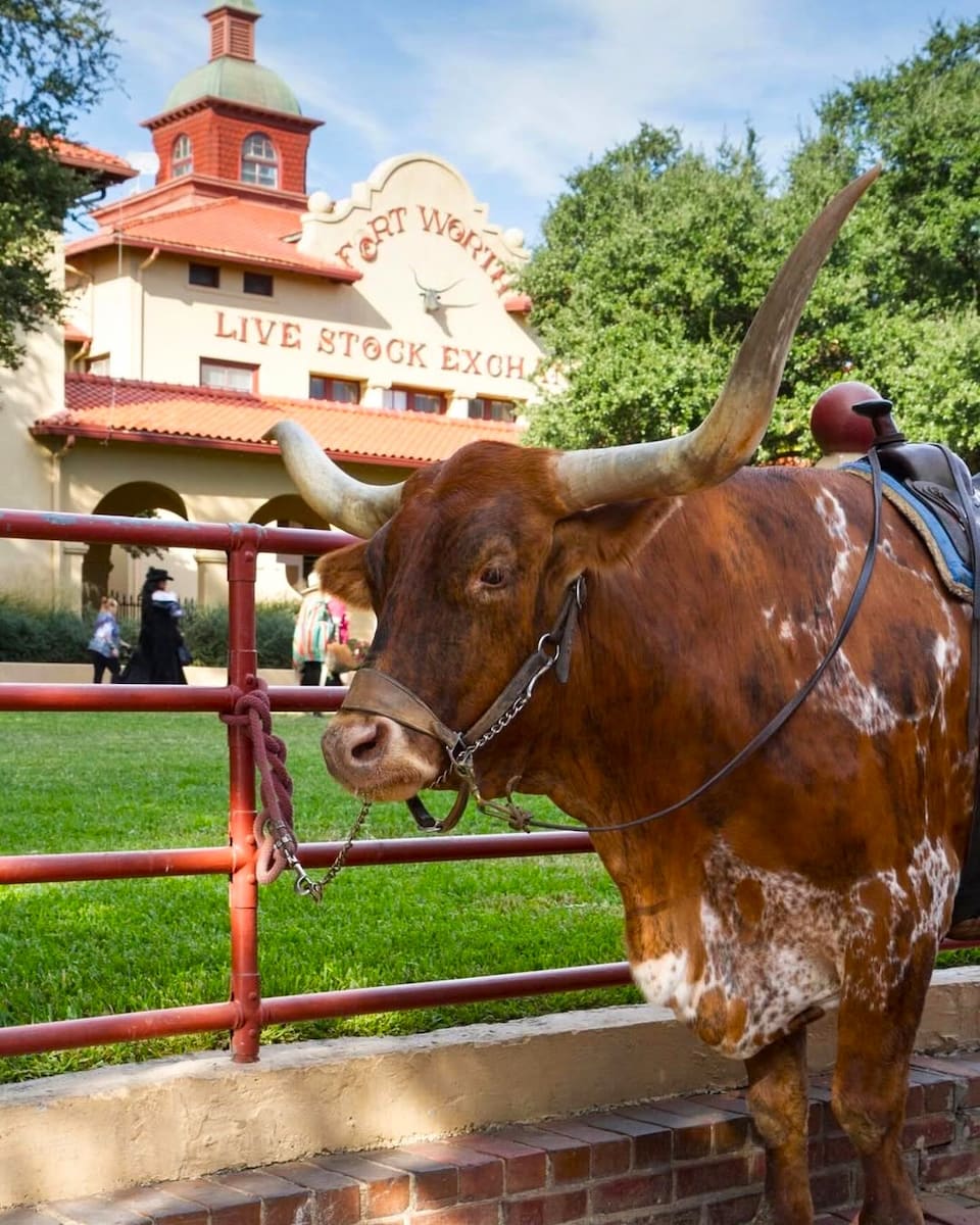 Fort Worth Stockyards, Texas Fort Worth Stockyards, Texas