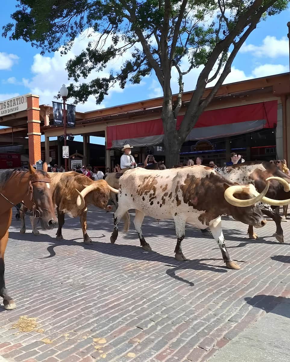 Fort Worth Stockyards, Texas Fort Worth Stockyards, Texas