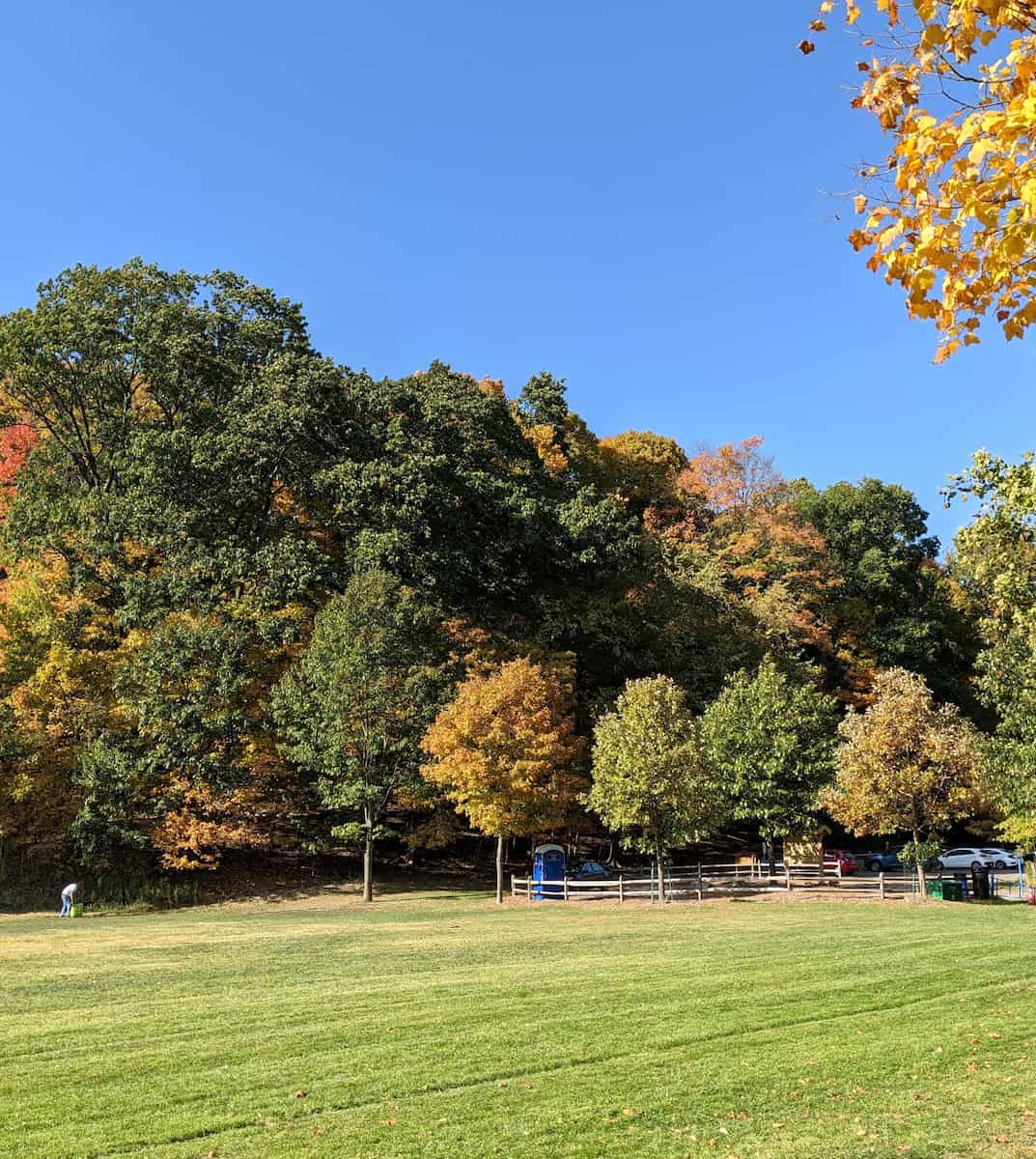 Frick Park Nature Walks, Pittsburgh Frick Park Nature Walks, Pittsburgh