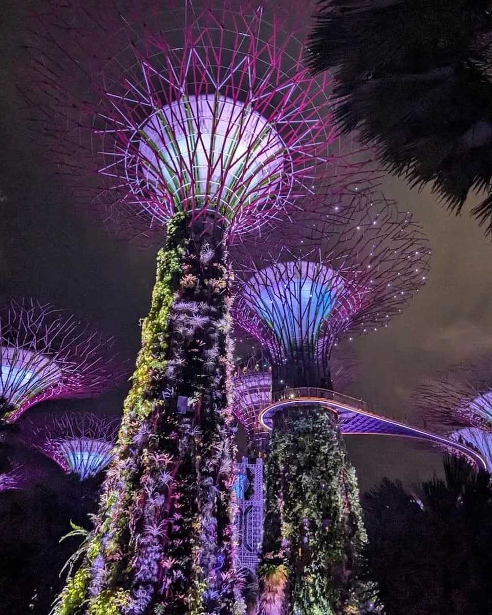 Garden Rhapsody Light Show, Singapore Garden Rhapsody Light Show, Singapore