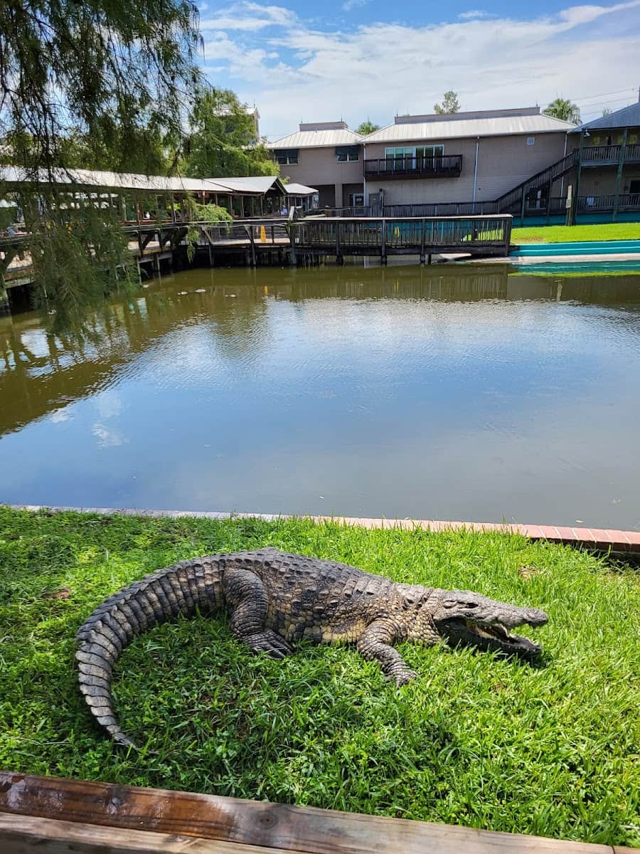 Gatorland, Orlando, Florida Gatorland, Orlando, Florida