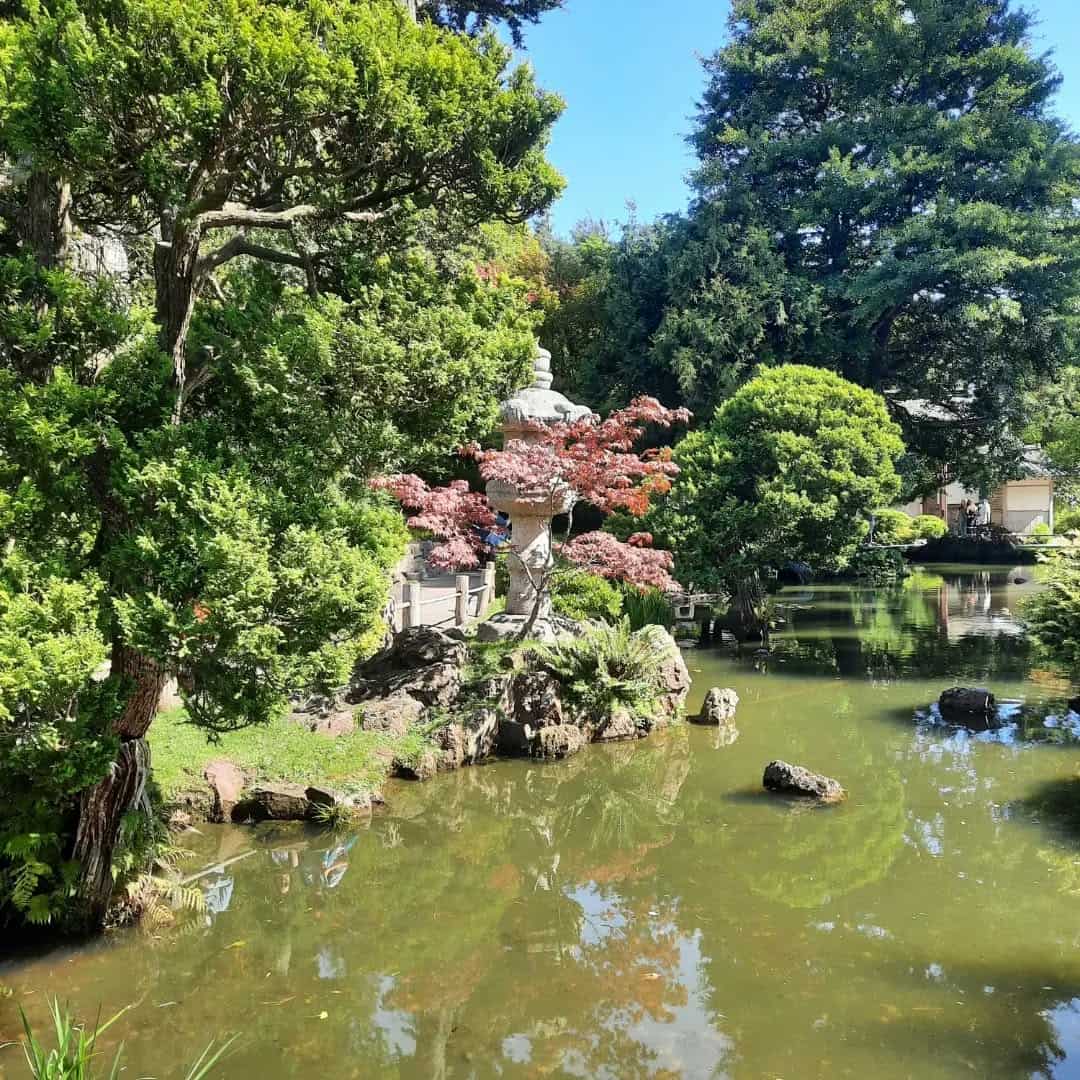 Golden Gate Park, San Francisco Golden Gate Park, San Francisco