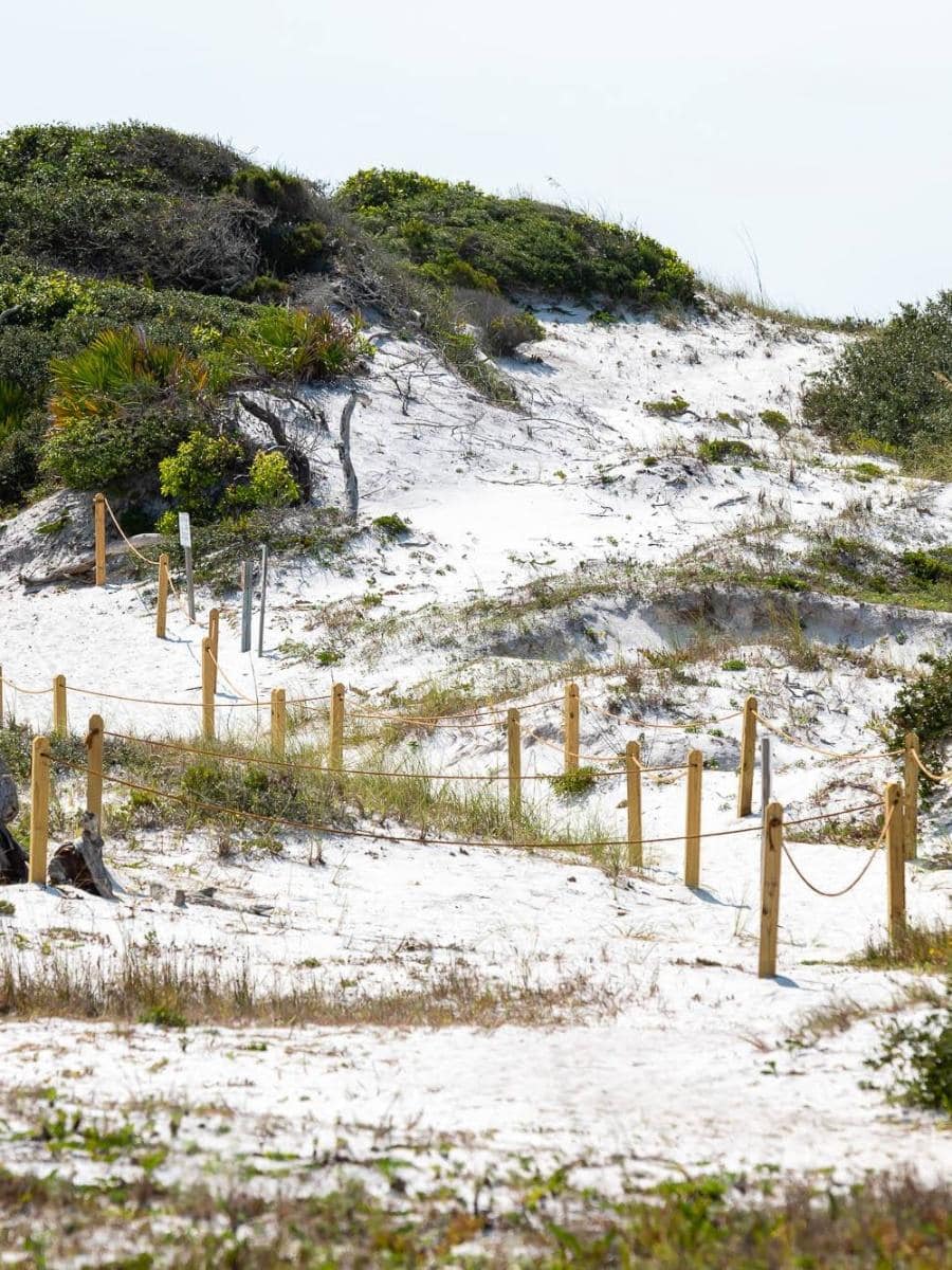 Grayton Beach State Park, Florida Grayton Beach State Park, Florida