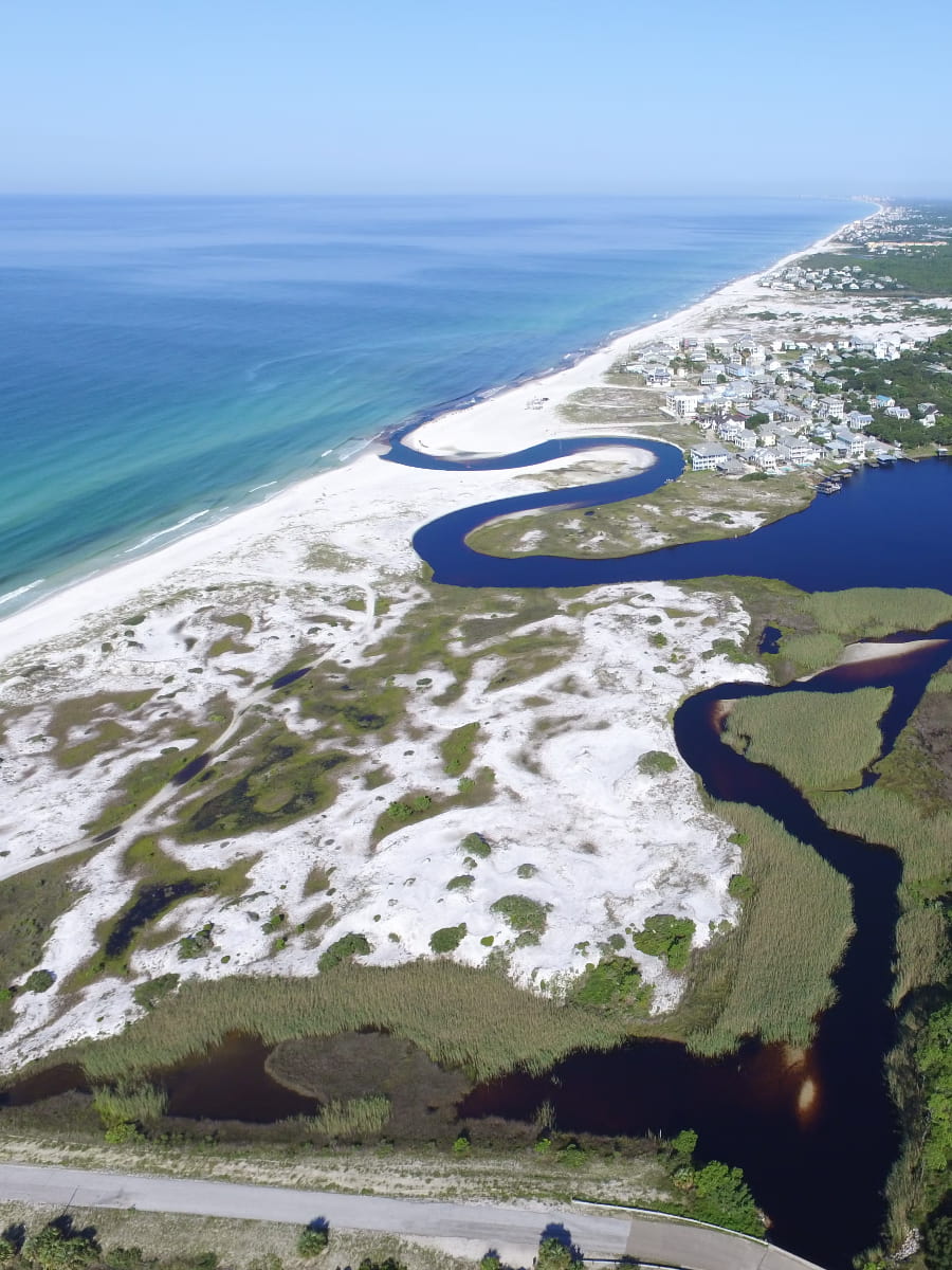 Grayton Beach State Park, Florida Grayton Beach State Park, Florida