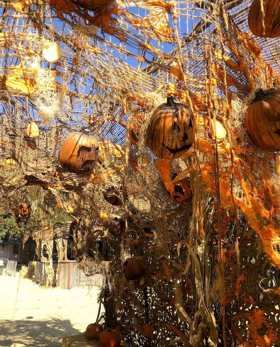 Halloween in Los Angeles Halloween in Los Angeles