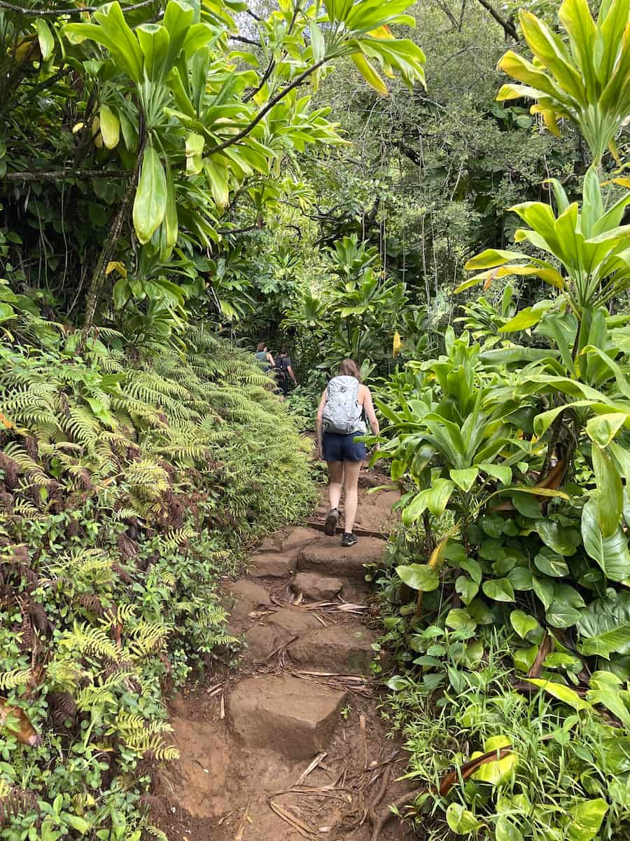 Hanakapiai Falls Trail, Kauai Hanakapiai Falls Trail, Kauai