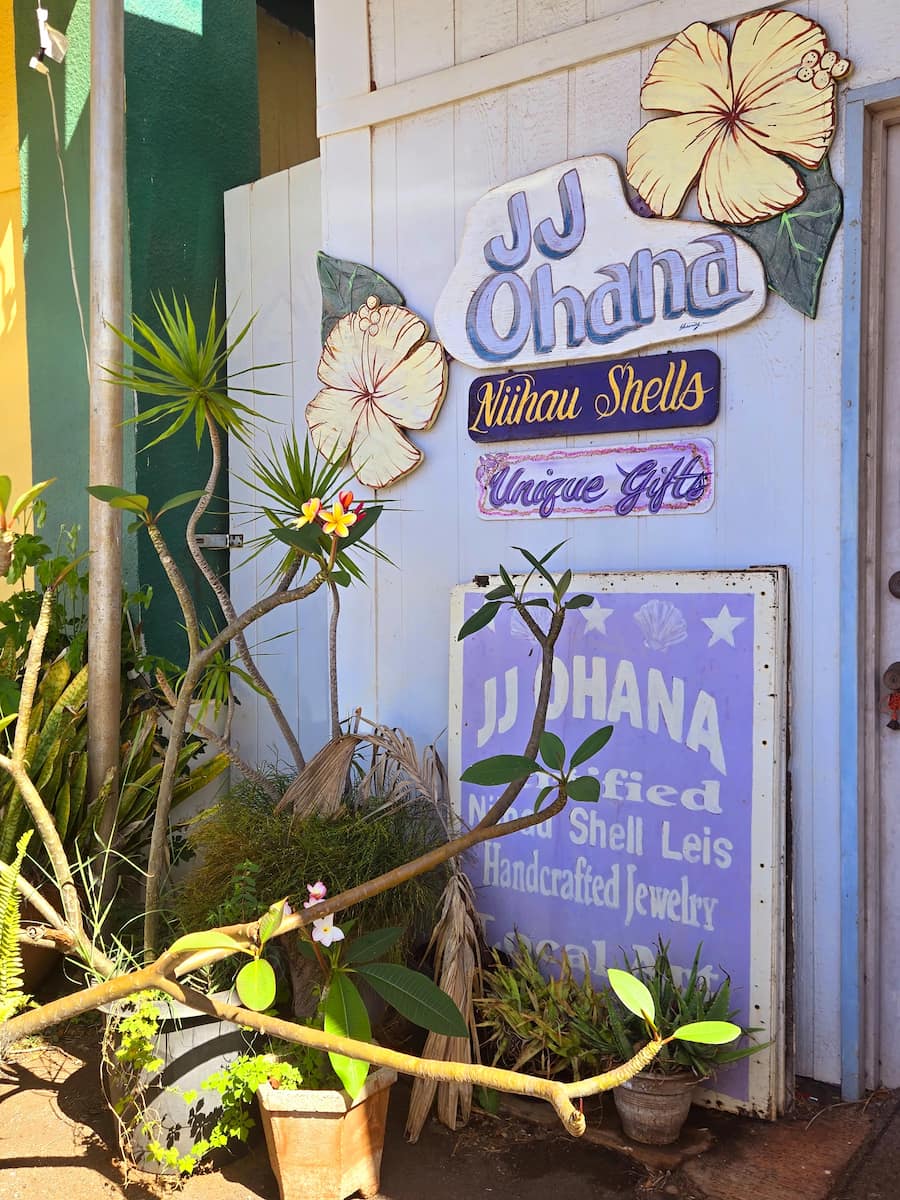 Hanapepe Art Night, Kauai Hanapepe Art Night, Kauai