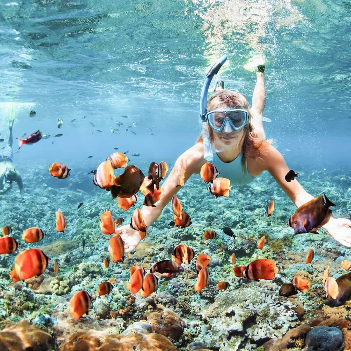 Hanauma Bay Snorkeling, Honolulu Hanauma Bay Snorkeling, Honolulu
