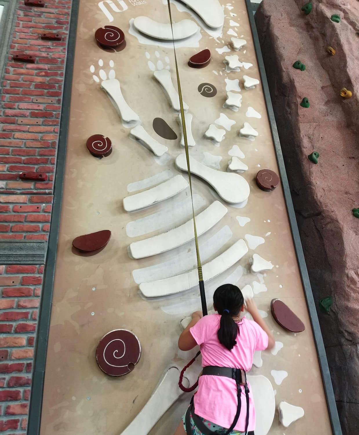 High Point Climbing Gym Chattanooga High Point Climbing Gym Chattanooga
