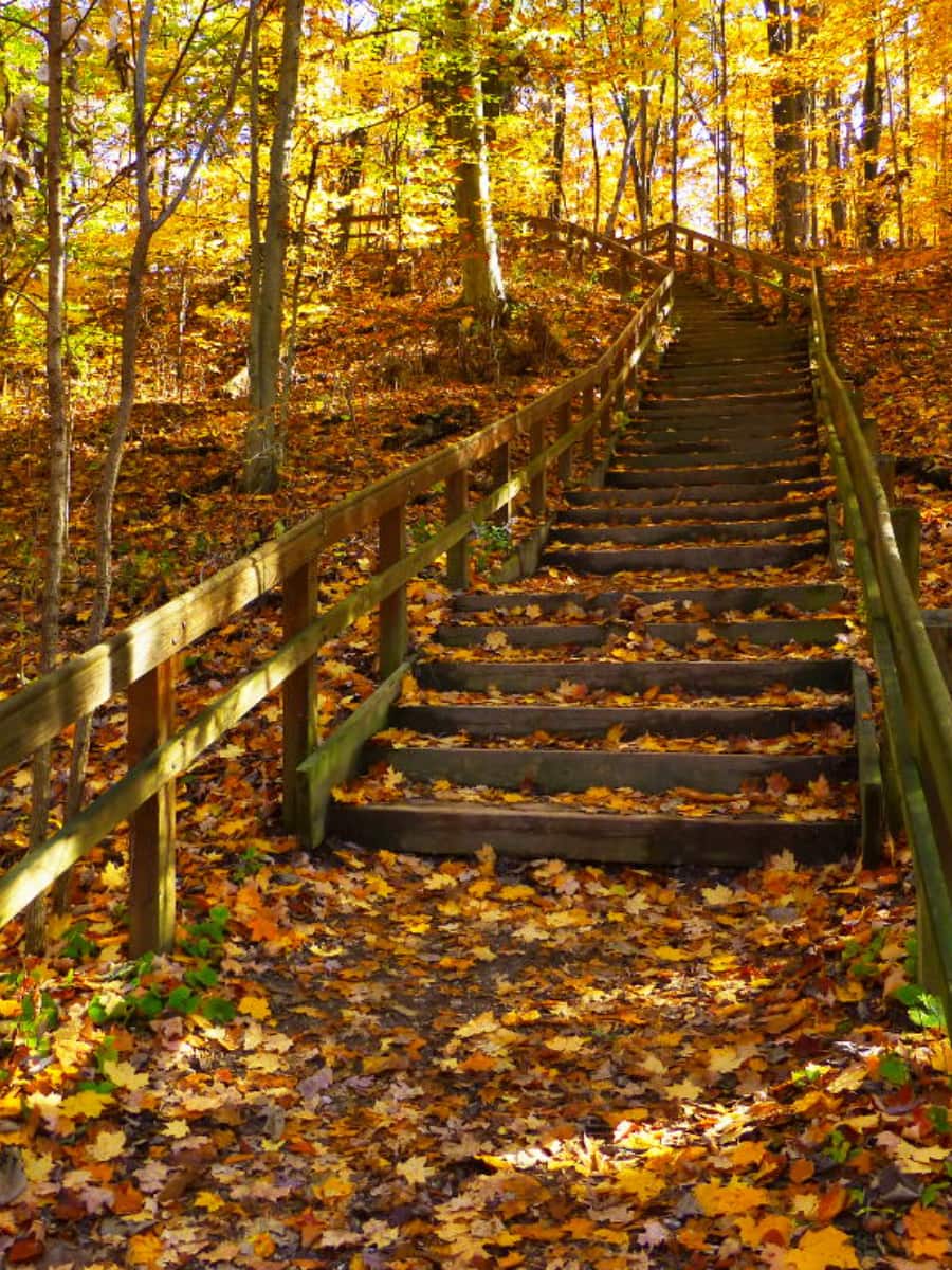 Highbanks Metro Park, Columbus, Ohio Highbanks Metro Park, Columbus, Ohio