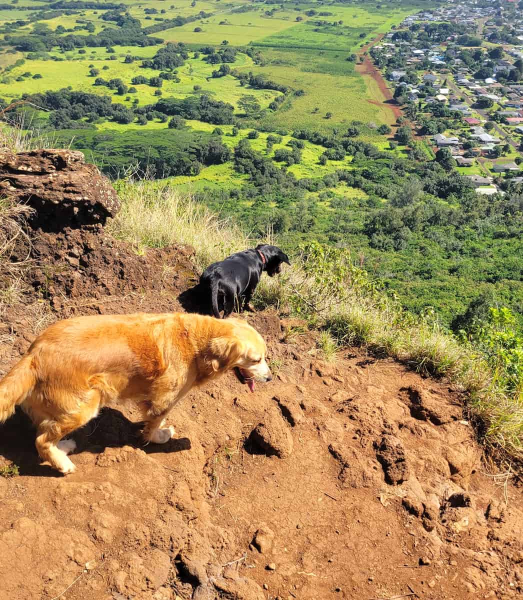 Hike Sleeping Giant Trail, Kauai Hike Sleeping Giant Trail, Kauai
