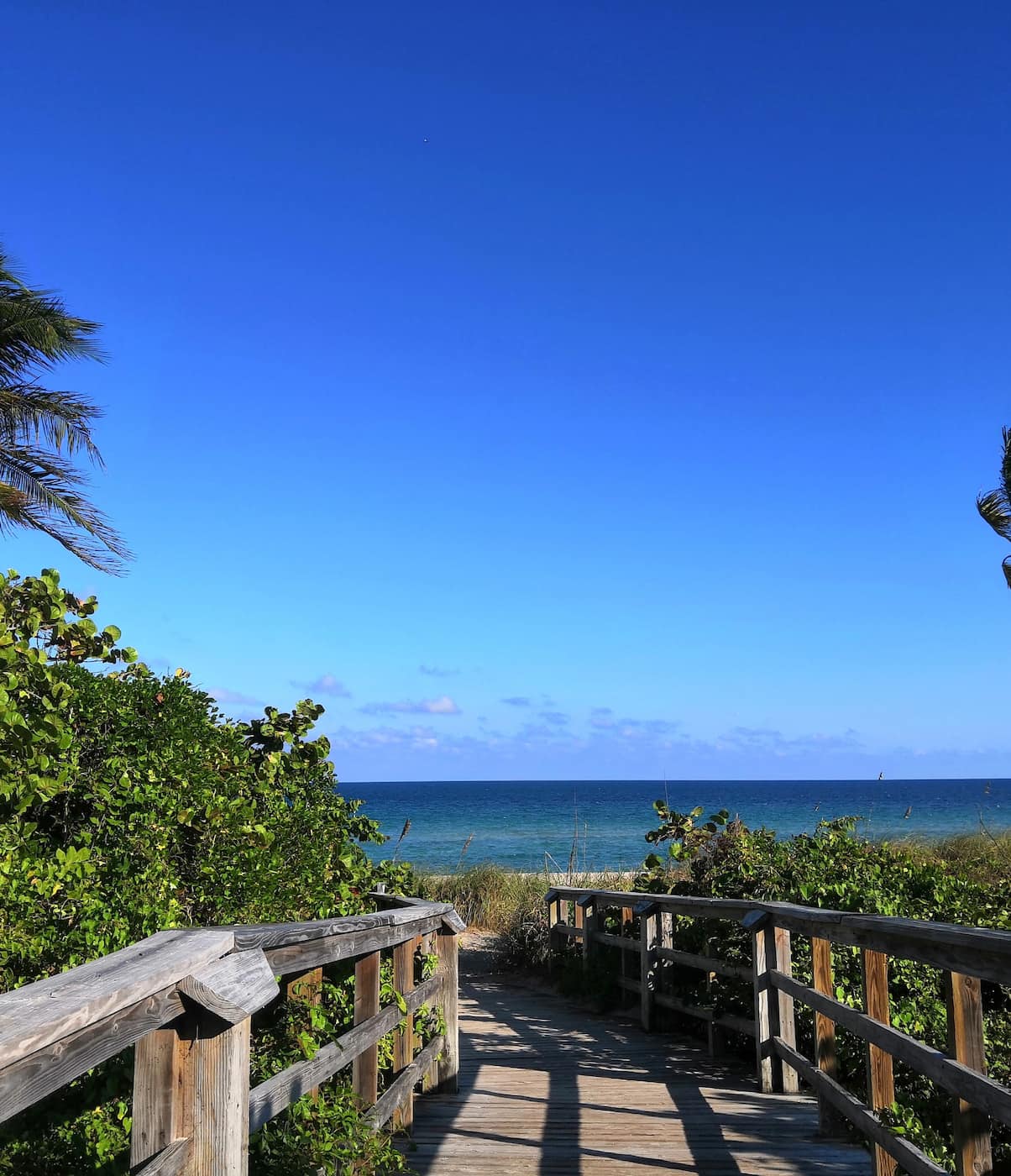 Hollywood Beach Broadwalk FL Hollywood Beach Broadwalk FL
