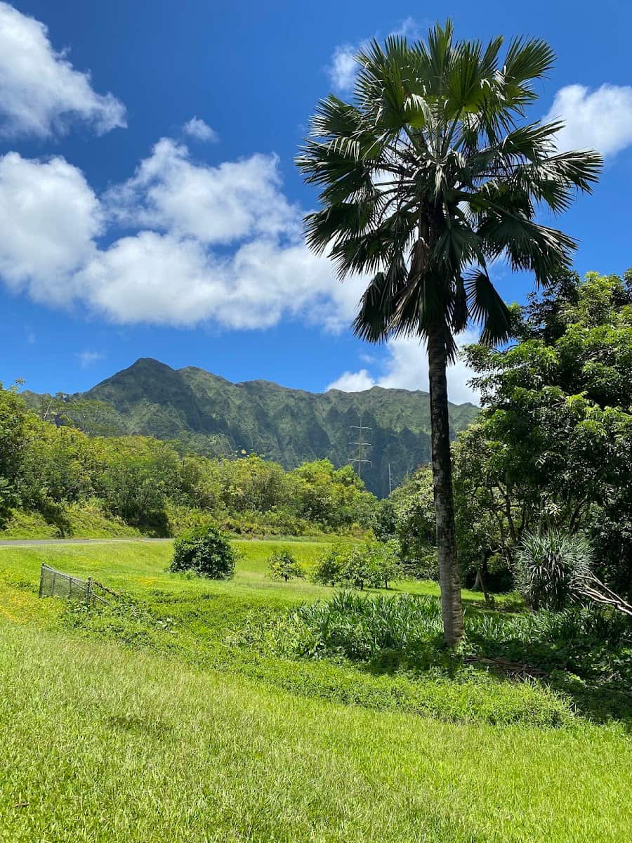 Ho'omaluhia Botanical Garden, Oahu Ho'omaluhia Botanical Garden, Oahu