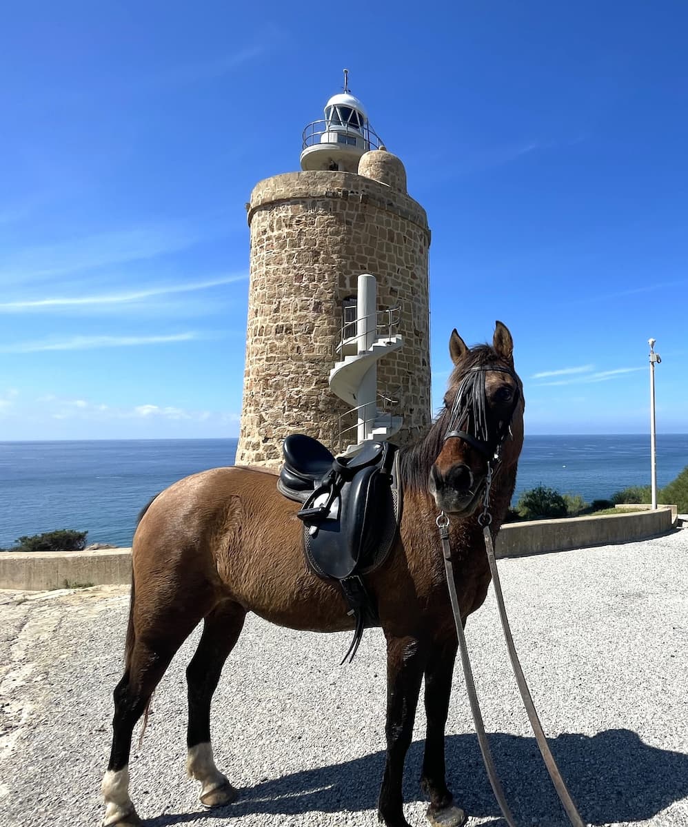 Horseback Riding Tours Tarifa Horseback Riding Tours Tarifa