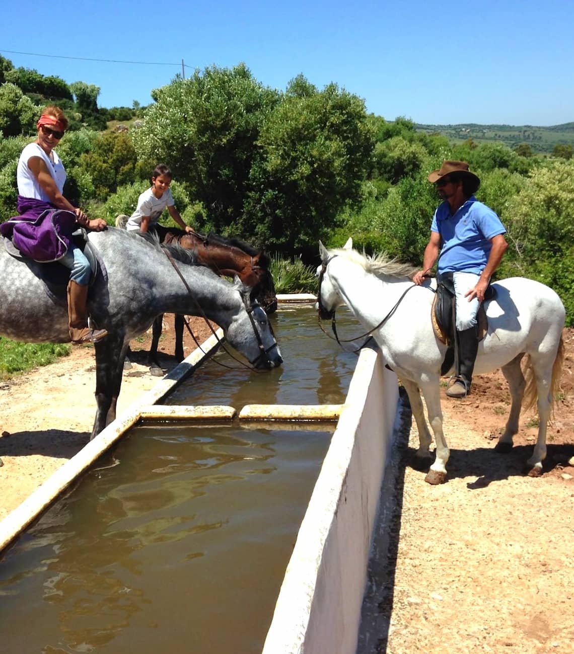 Horseback Riding Tours Tarifa Horseback Riding Tours Tarifa