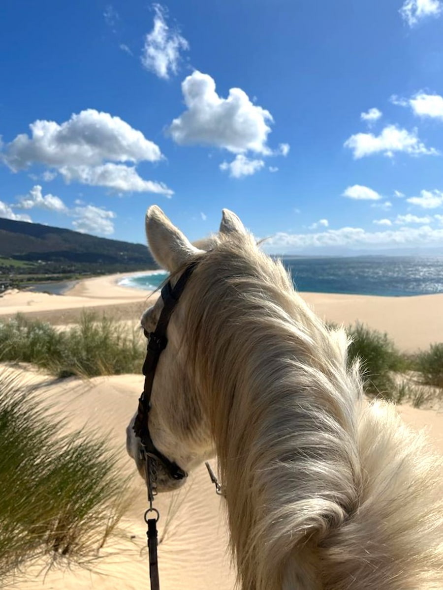 Horseback Riding Tours Tarifa Horseback Riding Tours Tarifa