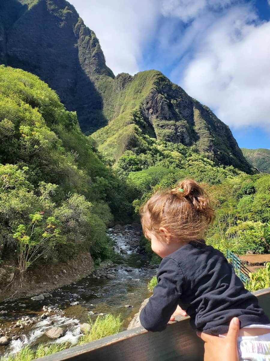 Iao Valley State Park, Maui Iao Valley State Park, Maui