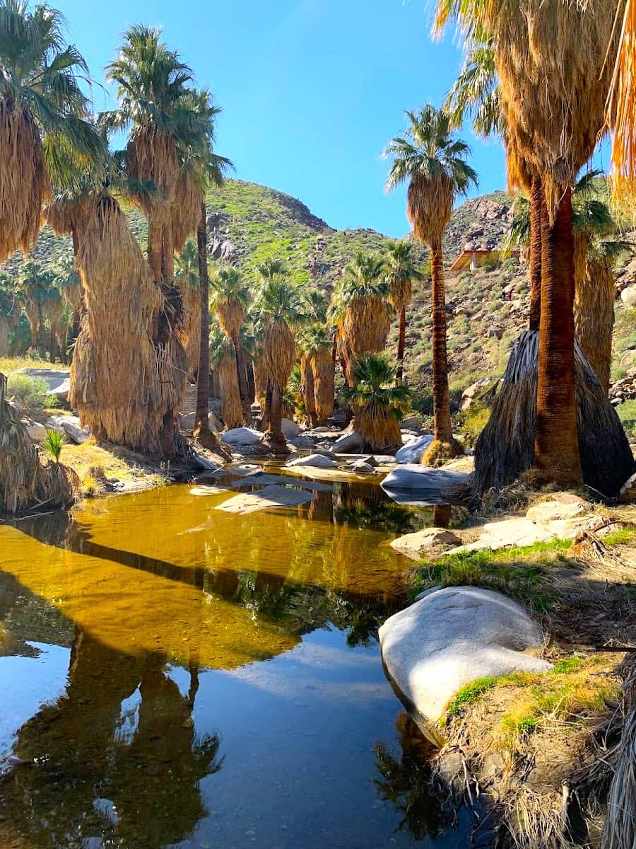 Indian Canyons, Palm Springs Indian Canyons, Palm Springs