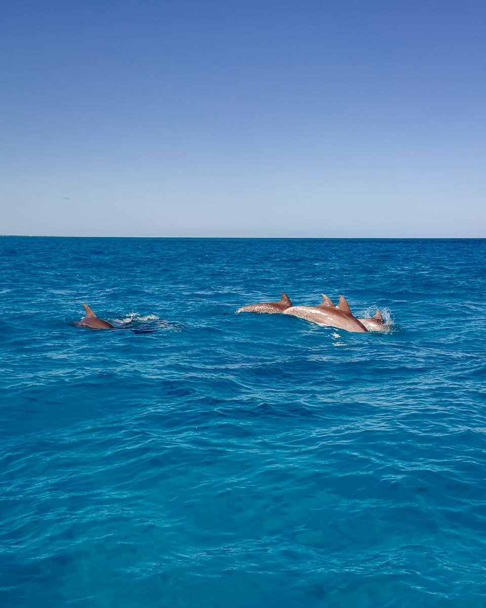 Islamorada Islamorada