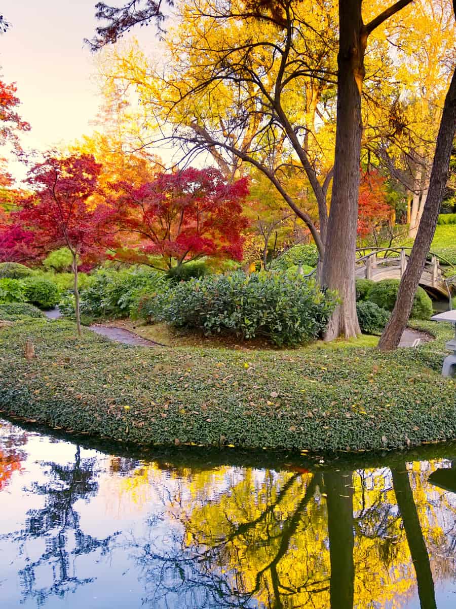 Japanese Garden, Portland Japanese Garden, Portland