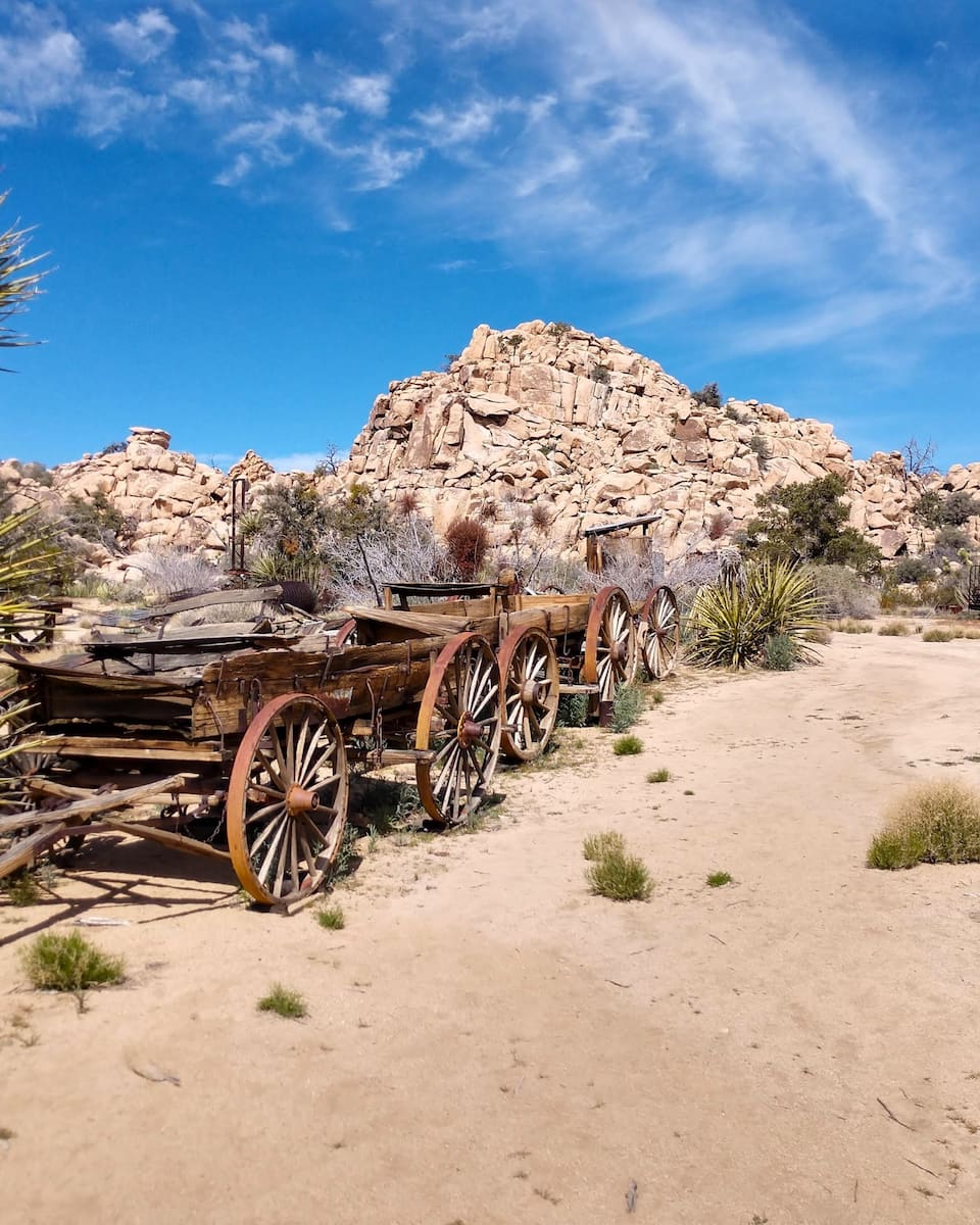 Joshua Tree National Park, CA Joshua Tree National Park, CA