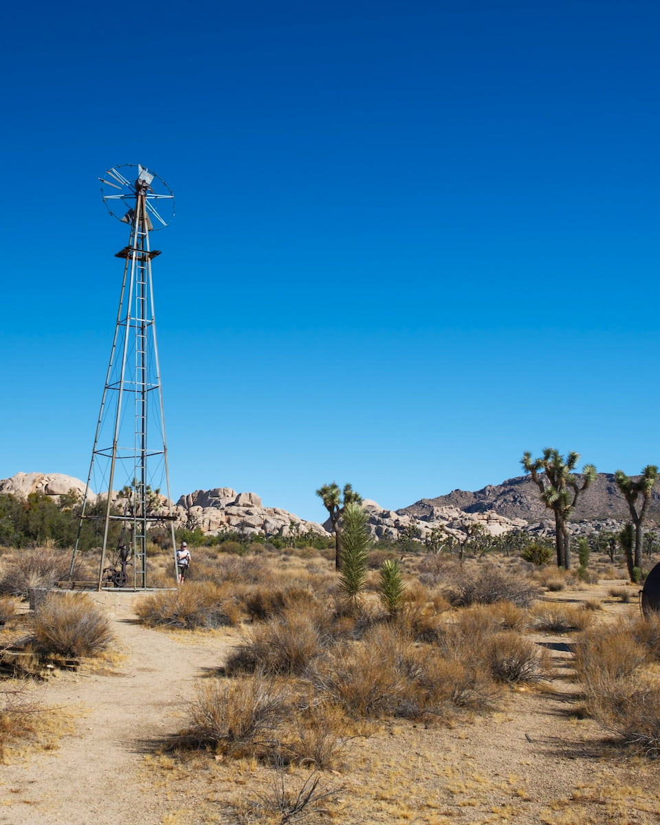 Joshua Tree National Park, CA Joshua Tree National Park, CA