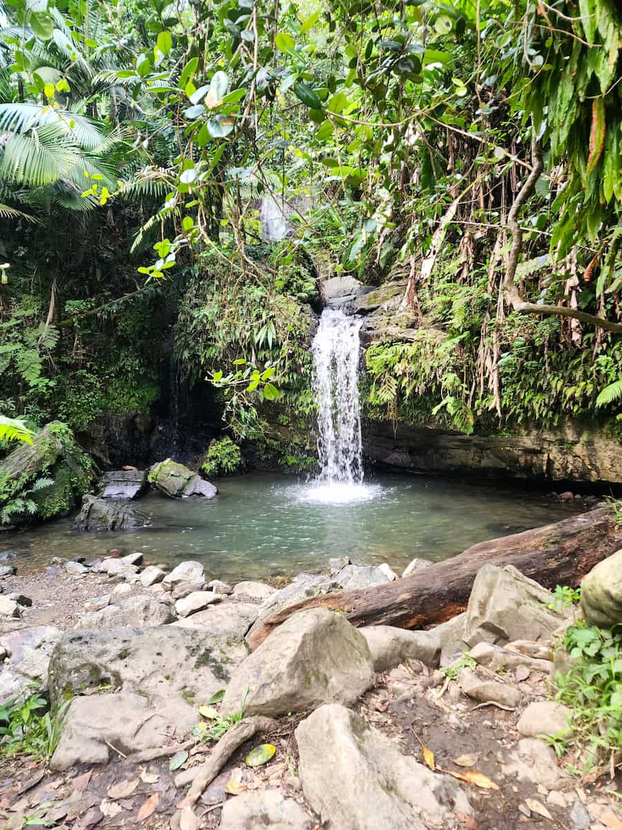 Juan Diego Falls Puerto Rico