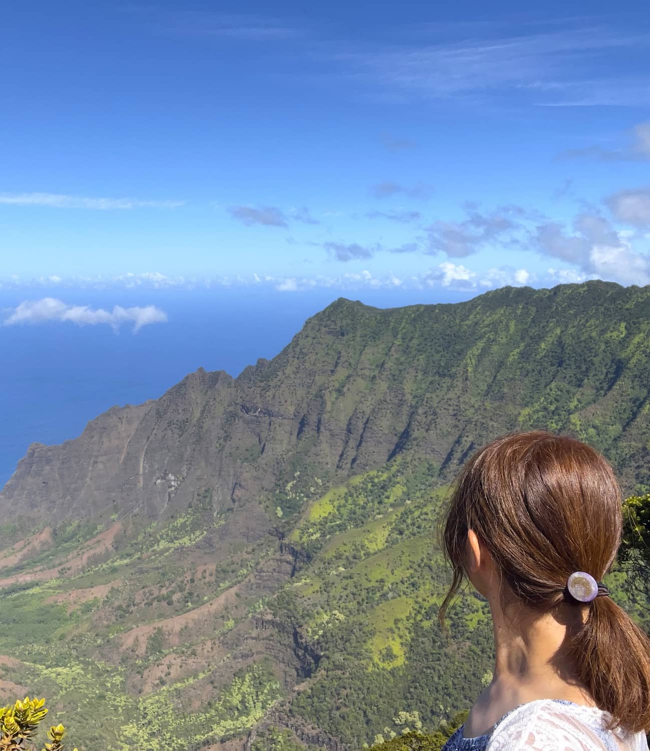 Kalalau Lookout, Kauai Kalalau Lookout, Kauai