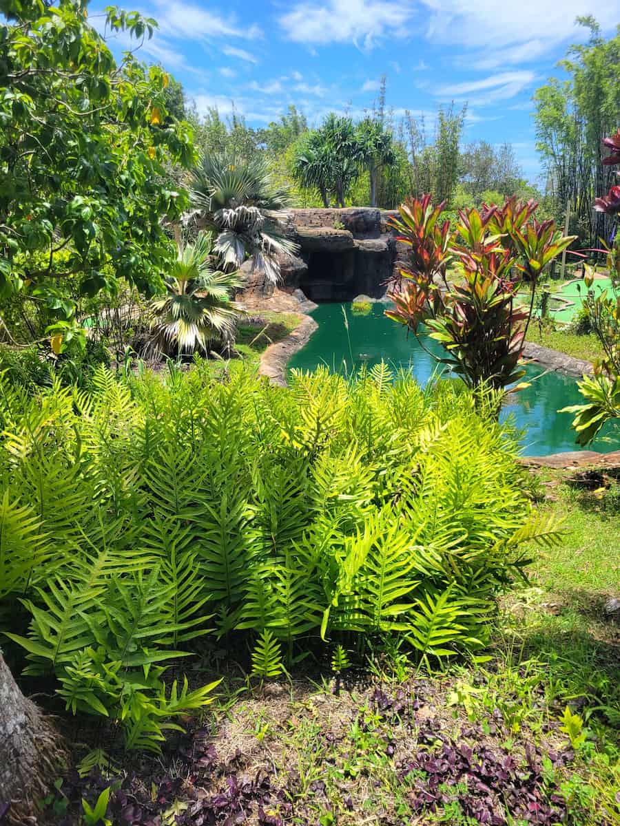 Kauai Mini Golf Kauai Mini Golf