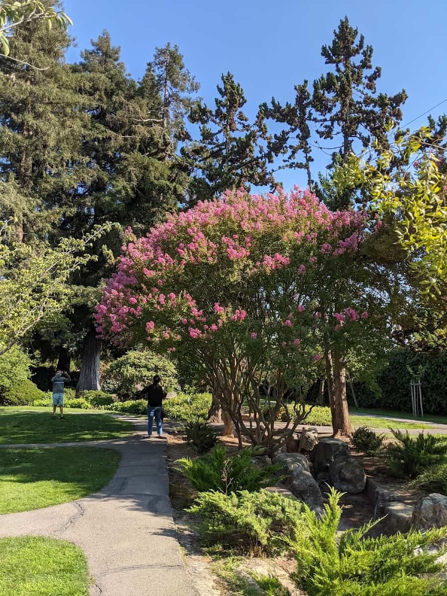 Kelley Park Japanese Friendship Garden, San Jose, USA Kelley Park Japanese Friendship Garden, San Jose, USA