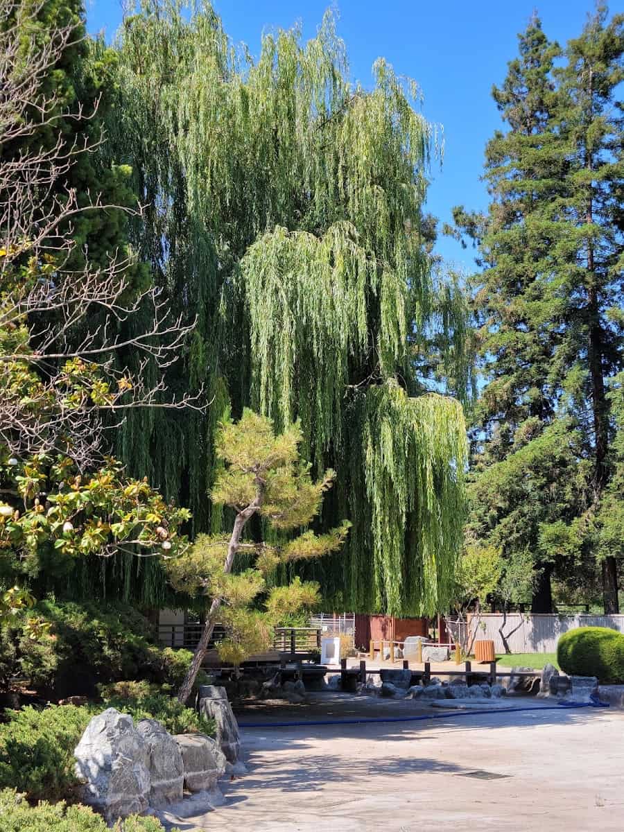 Kelley Park Japanese Friendship Garden, San Jose, USA Kelley Park Japanese Friendship Garden, San Jose, USA