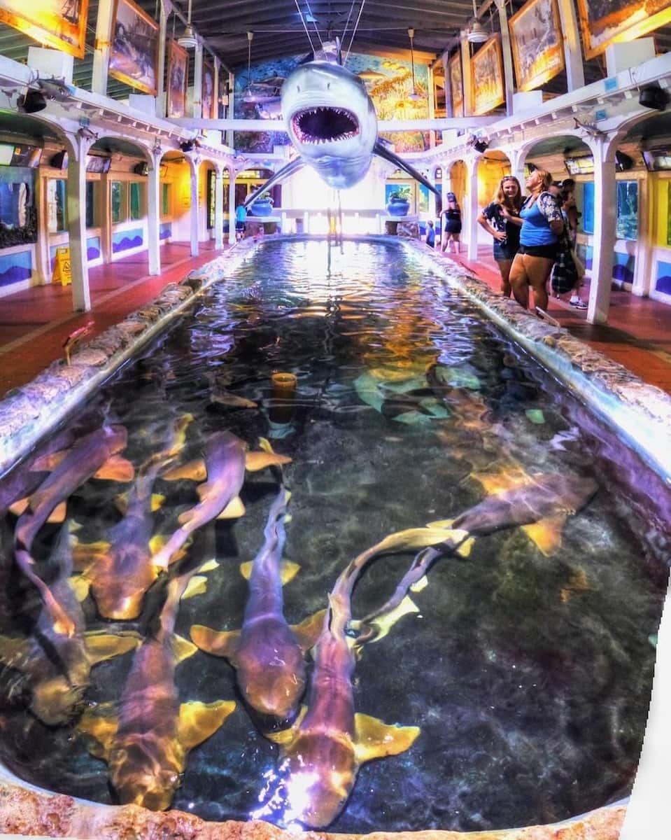 Key West Aquarium Key West Aquarium