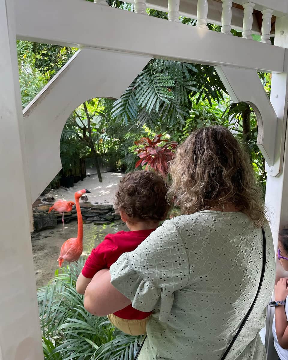 Key West Butterfly and Nature Conservatory Key West Butterfly and Nature Conservatory