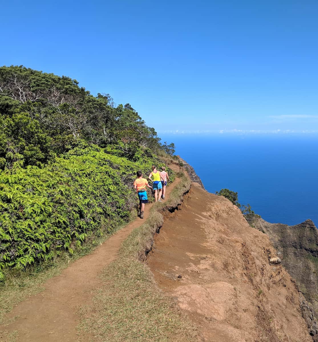 Kokee State Park Trails, Kauai Kokee State Park Trails, Kauai