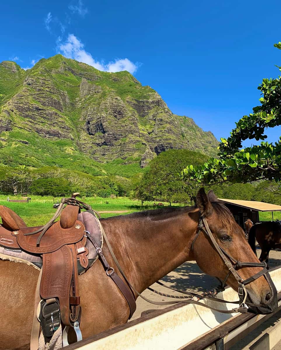 Kualoa Ranch, Hawaii Kualoa Ranch, Hawaii