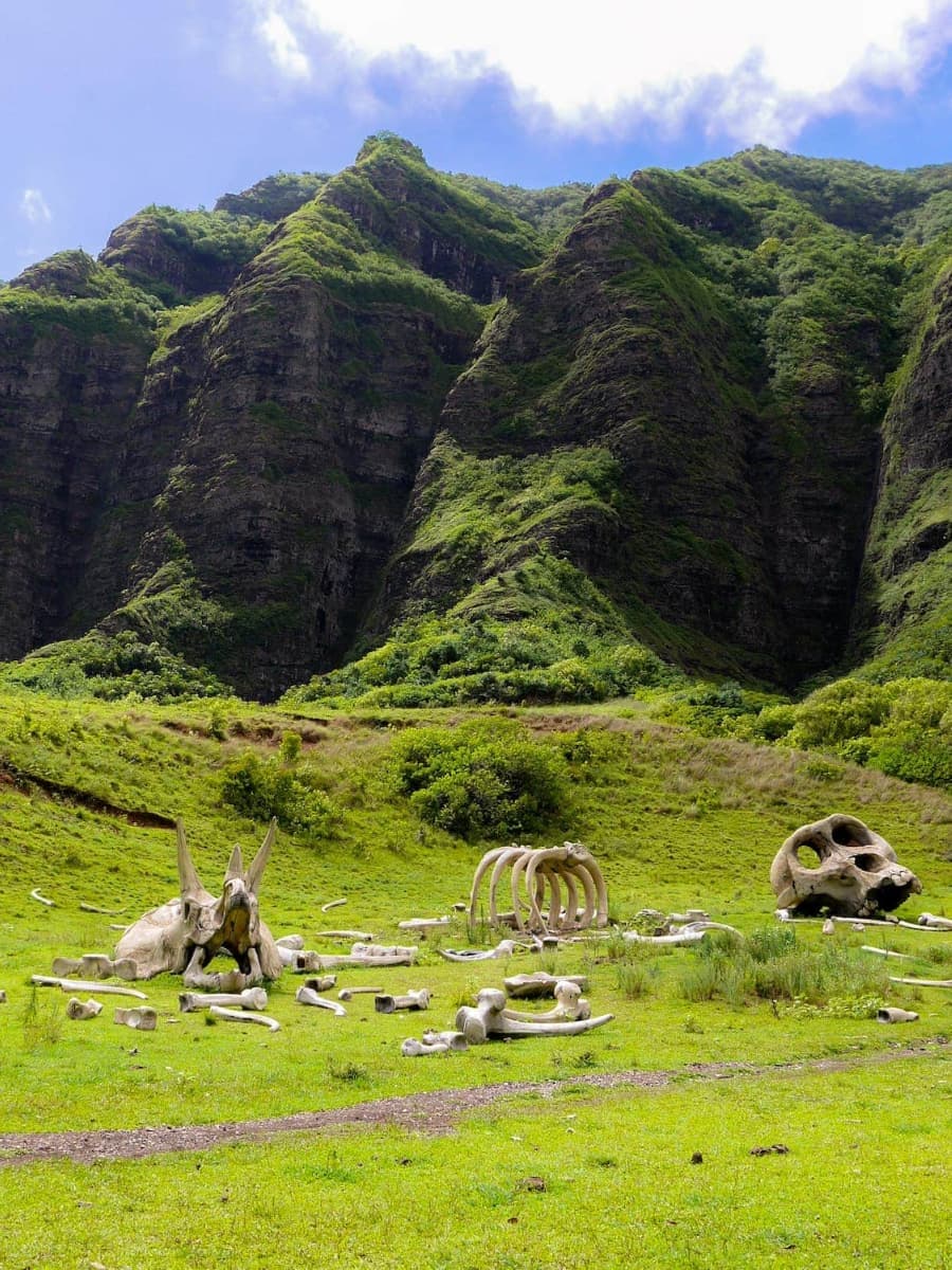 Kualoa Ranch, Oahu, Hawaii Kualoa Ranch, Oahu, Hawaii