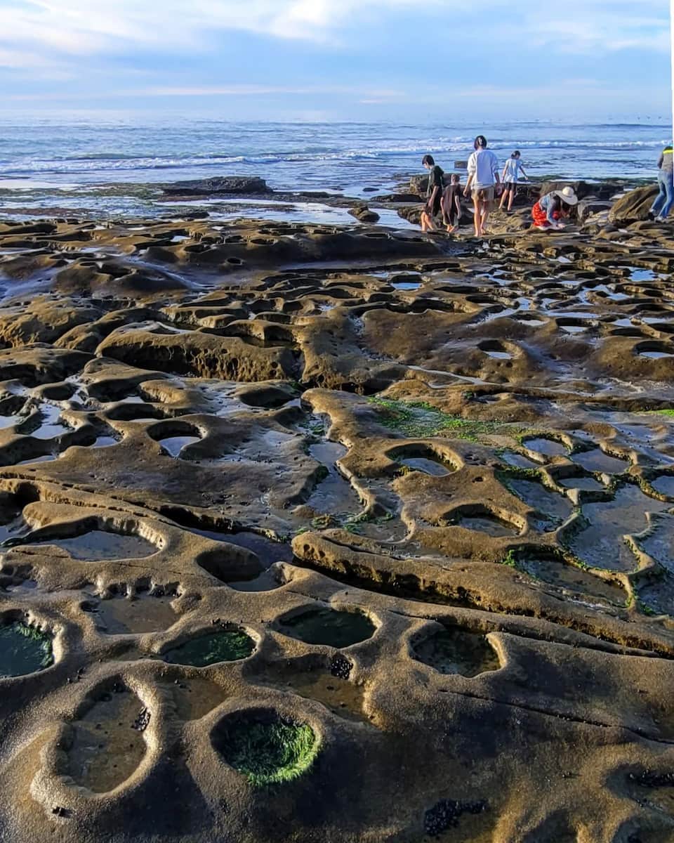La Jolla Pools, San Diego La Jolla Pools, San Diego