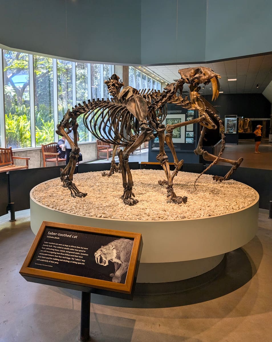 La Brea Tar Pits and Museum, LA La Brea Tar Pits and Museum, LA