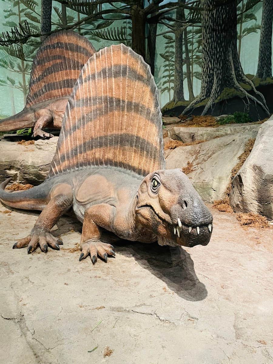 Las Vegas Natural History Museum, Las Vegas Las Vegas Natural History Museum, Las Vegas