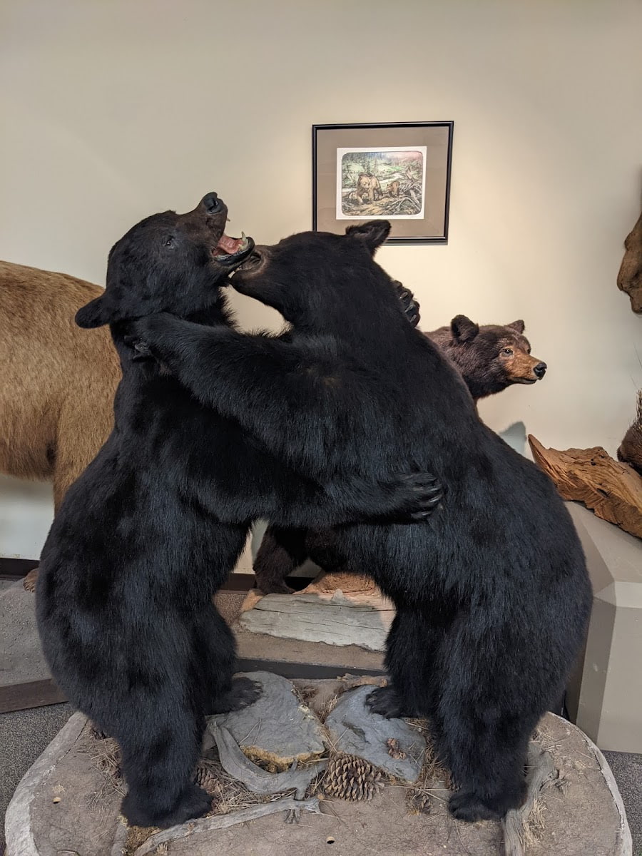 Las Vegas Natural History Museum, Las Vegas Las Vegas Natural History Museum, Las Vegas