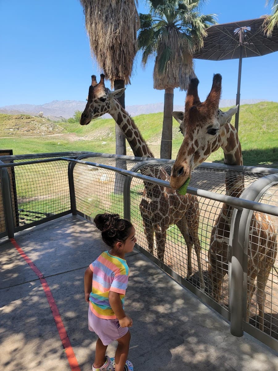 Living Desert Zoo and Gardens, Palm Springs Living Desert Zoo and Gardens, Palm Springs