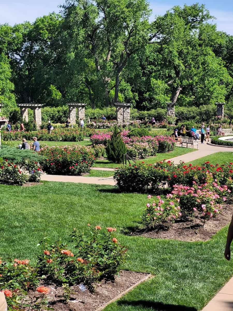 Loose Park Rose Garden, Kansas City Loose Park Rose Garden, Kansas City