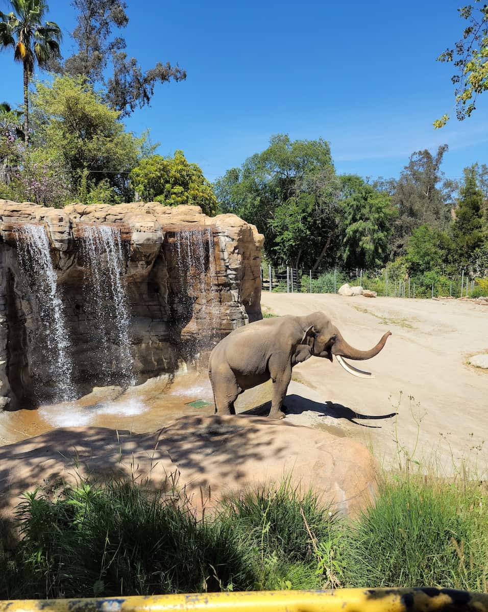 Los Angeles Zoo Los Angeles Zoo