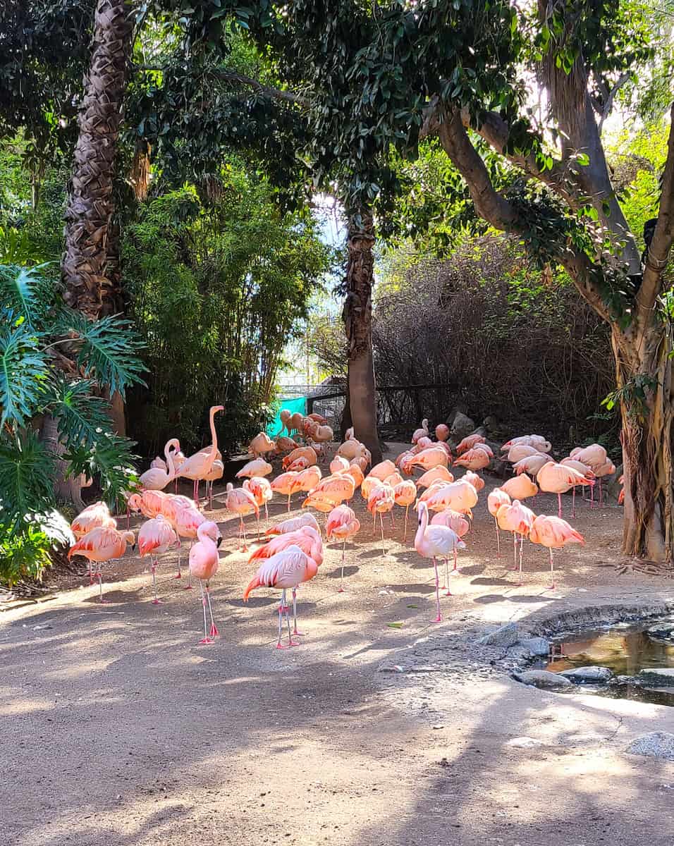Los Angeles Zoo Los Angeles Zoo