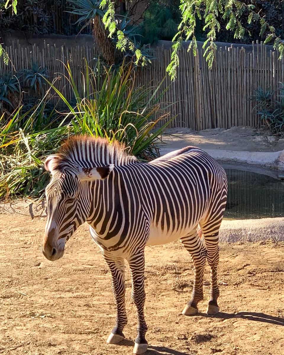 Los Angeles Zoo and Botanical Gardens Los Angeles Zoo and Botanical Gardens